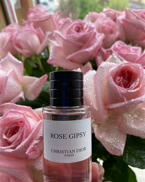 rose elixir christian dior|Christian Dior rose gipsy perfume.